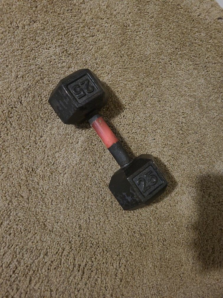25lb Dumbbell