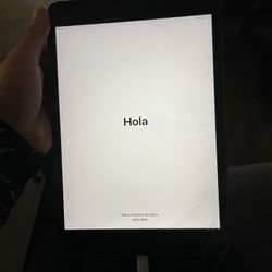 iPad Mini 2
