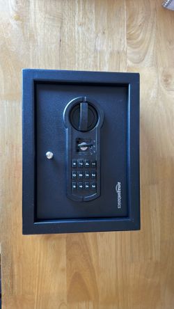Amazon Basics Desk Safe
