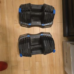 Nordictrack Adjustable Dumbbells.10 To 50 Pounds 