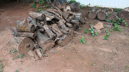 FREE! FIRE WOOD (Aged!)