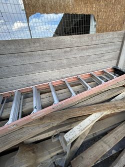 werner ladder