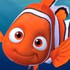 Nemo