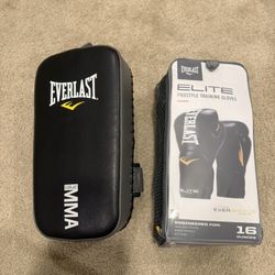 Boxing / kickboxing Pad