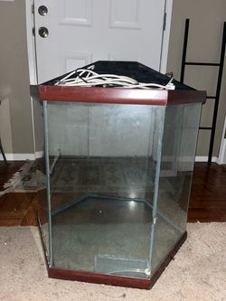 Reptile Tank