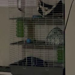Ferret Cage 
