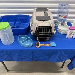 "I just got a new cat" collection