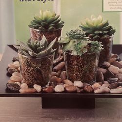  Square Candle/ Succulent Garden(New In Box)
