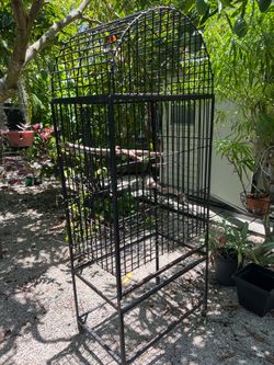 Parrot Cage