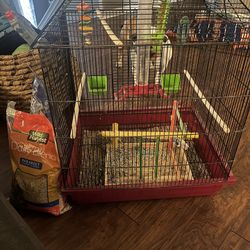 Bird Cage 