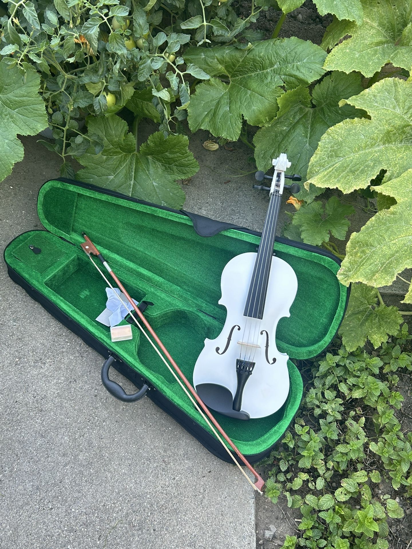 Great 😊 Violin 🎻 Full Size 4/4