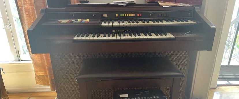 Hammond Organ 