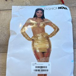 Enchanted Rose Belle Costume