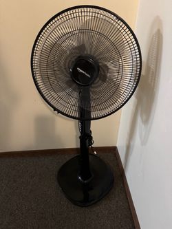 Fan