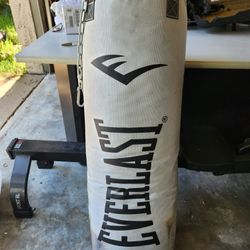 Everlast 80lb Punching Bag