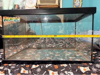 Glass Terrarium