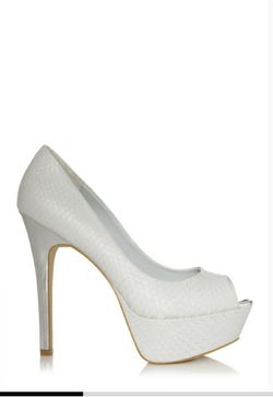 Arden Silver Plump