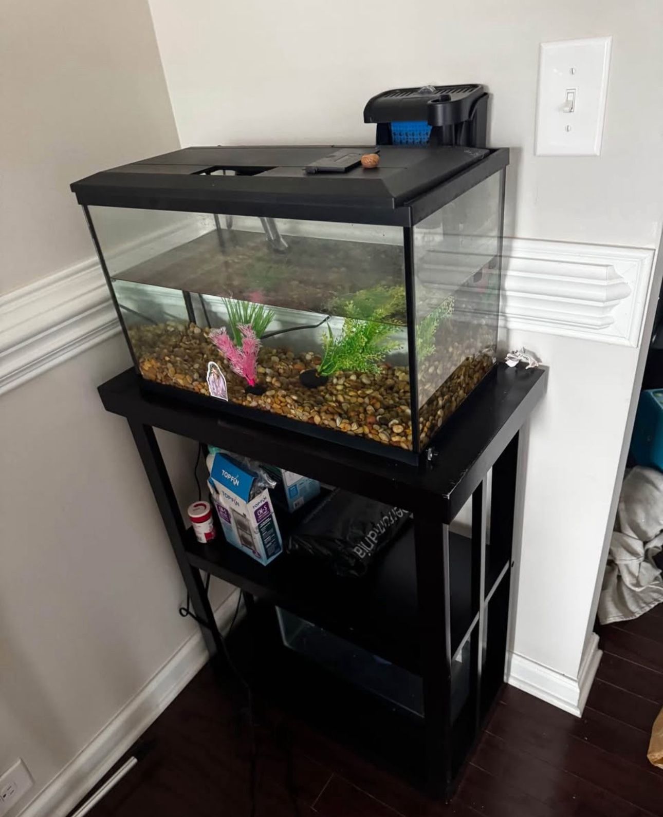 Selling a 10 Gallon fish tank along with complete setup , Filtration System , Vaccum Cleaner(tank) , Pebbles And Decoratives
