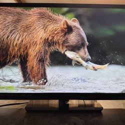 Visio 31” TV Model E320i