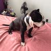 katie