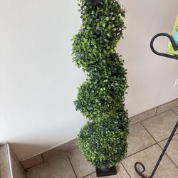 Spiral Topiary 