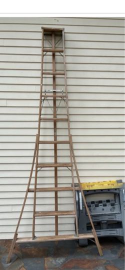 Orchard ladder