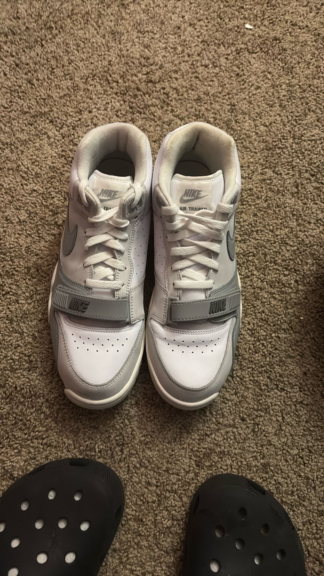 Brand: Nike Model: Air Trainer 1 Color: Photon Dust and Light Smoke Size: Men’s 10