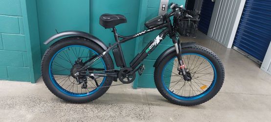 Ecotric Fat Tire Electric Bike