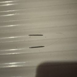 Watch Band