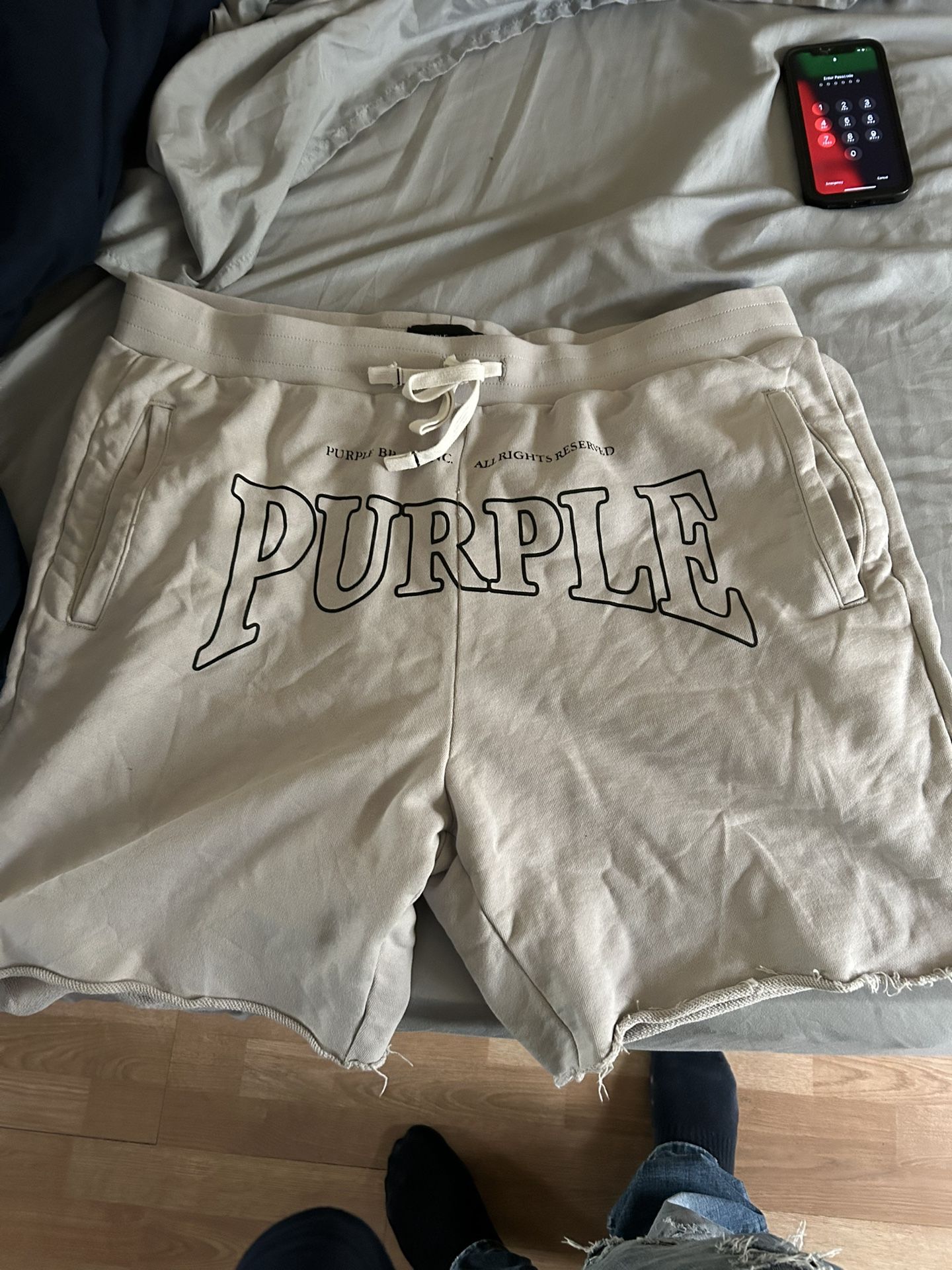 Purple Shorts 2x
