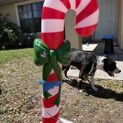 Christmas outside  decorations