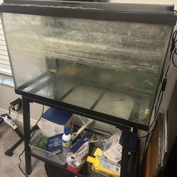 30 Gal Fish tank & stand