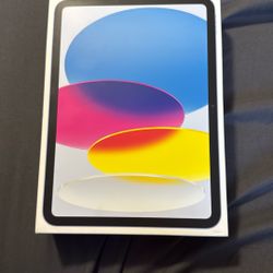 Apple iPad 10.9 Inch WiFi 256GB (2022, 10th Gen)