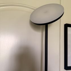 Dimmable Flor Lamp W/Remote 