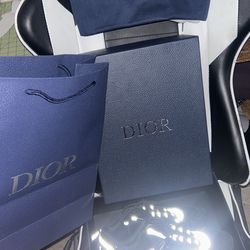 Dior B22