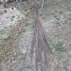 Rebar