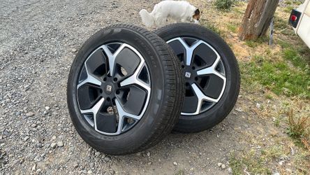 2 Rivian Tires