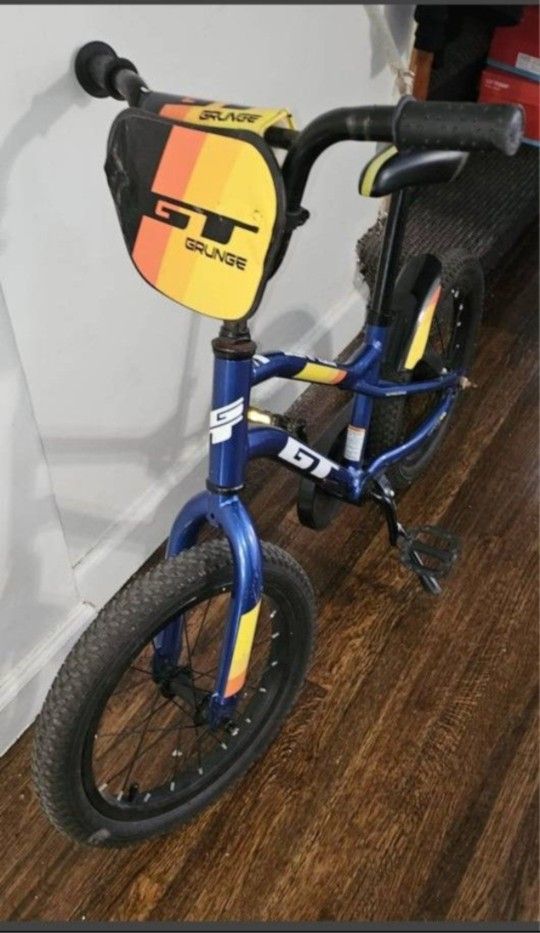 Gt 12 Inch Kids Bicycle