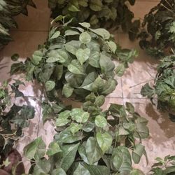 Artificial Plants Faux Silk Plants  7