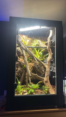Arboreal Bioactive Tank 17 by 22 by 36