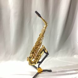 Verve ASV 100 Alto Saxaphone W/ Case, Cork Grease and Cleaning Kit $200