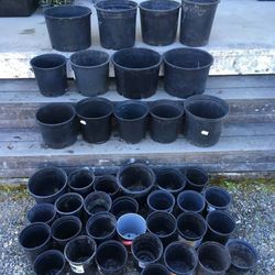 Huge Lot 41 Assorted Size Black Plastic Landscaping Nursery Garden Planter Pots
