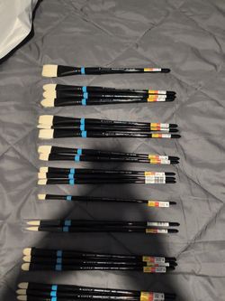 ASPEN PRINCETON  BRUSHES 