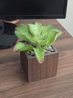 Artificial Succulent Plant Small in Wood Planter