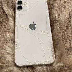 iPhone 11 Color Of Model White 