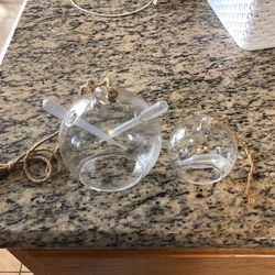 Glass Terrarium Container - Succulent Plants