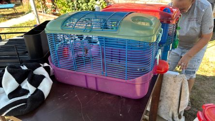 Hamster cage