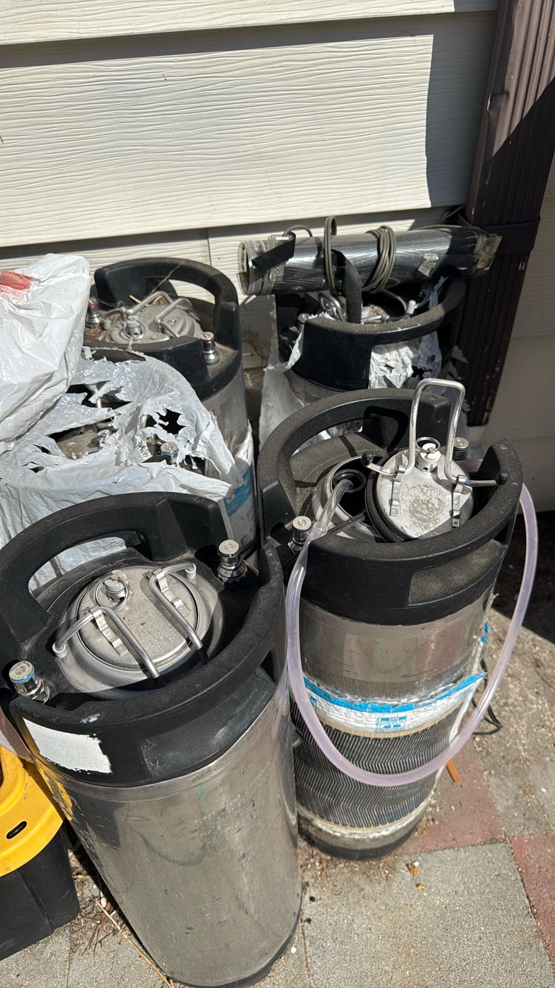 Brewing 8 Kegs Each $20
