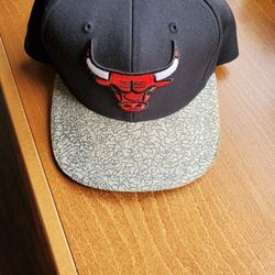 Chicago Bulls Hat