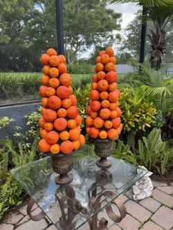 Citrus Topiary 